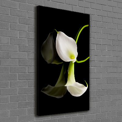 Tableau sur toile Calla blanc