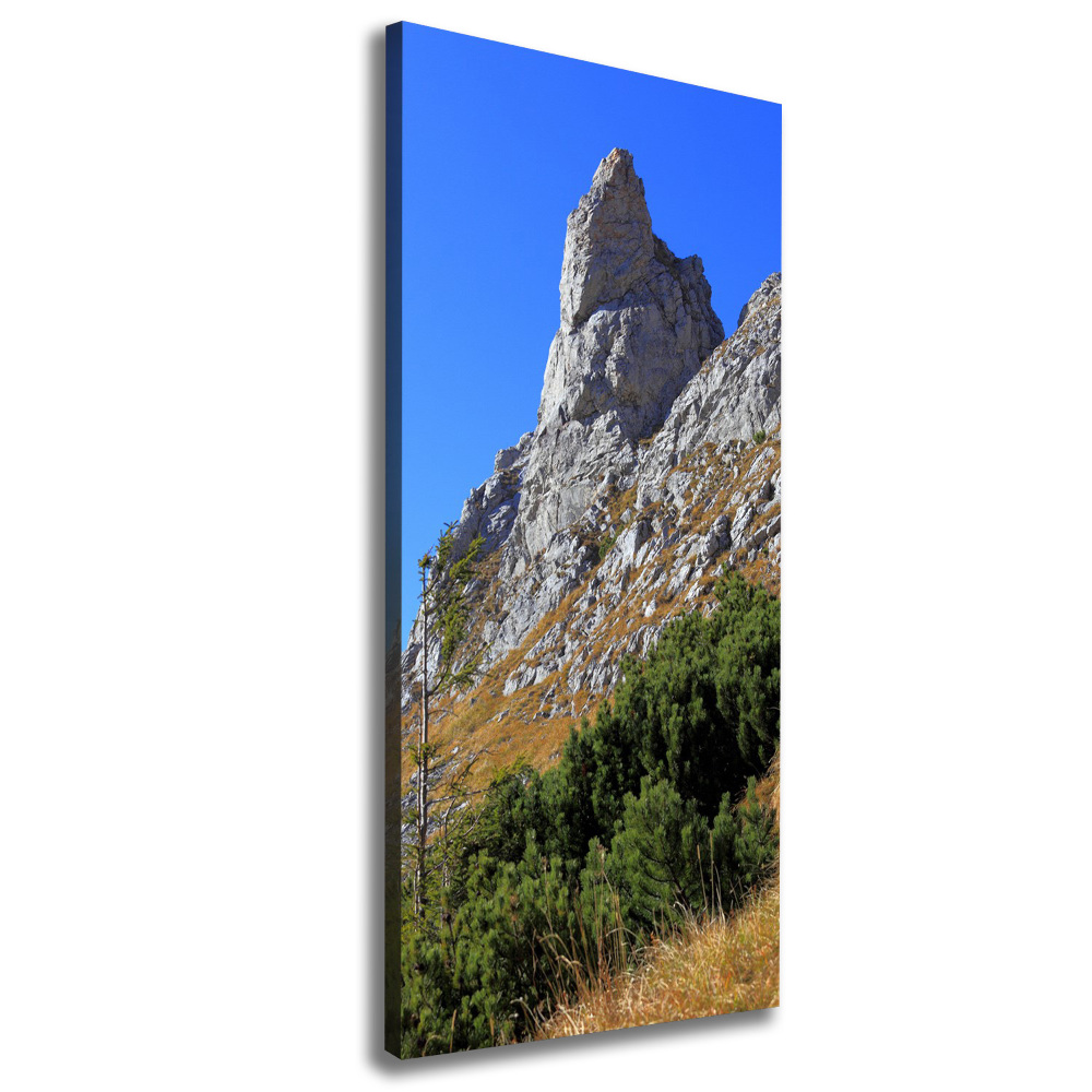 Tableau imprimé sur toile Petites montagnes de Giewont Tatry