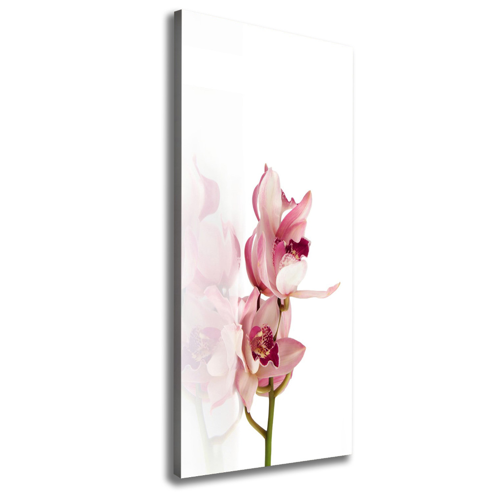 Tableau imprimé sur toile Orchidée rose