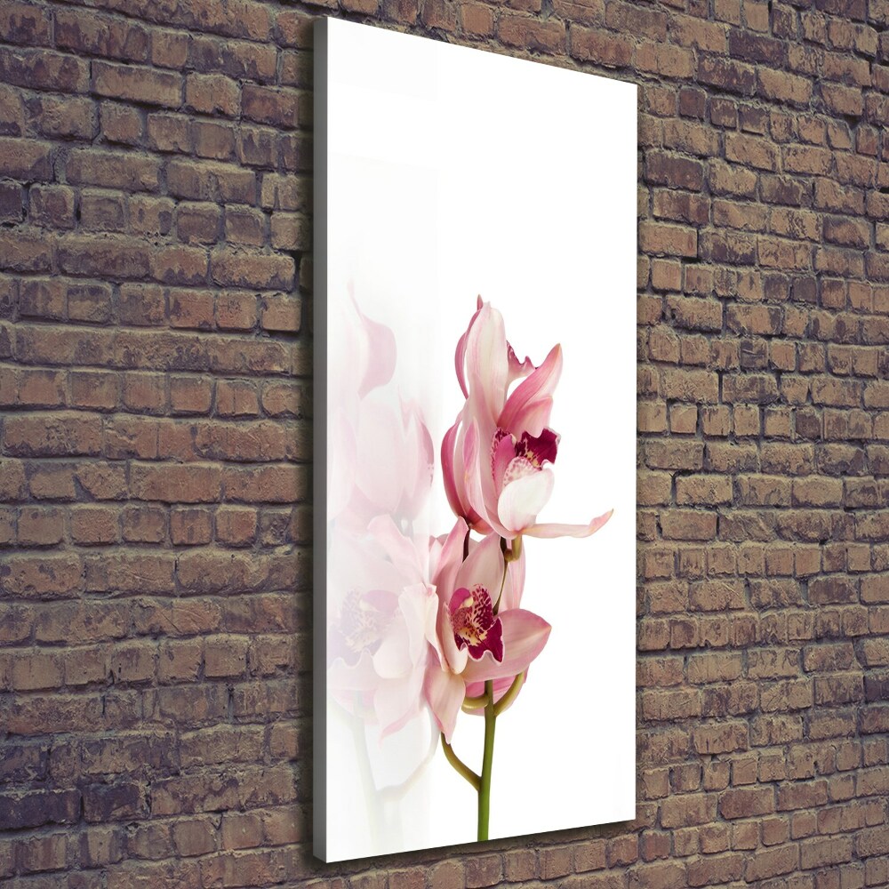 Tableau imprimé sur toile Orchidée rose