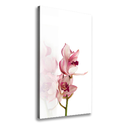 Tableau imprimé sur toile Orchidée rose