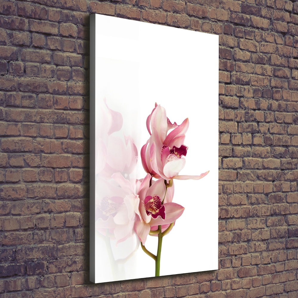 Tableau imprimé sur toile Orchidée rose