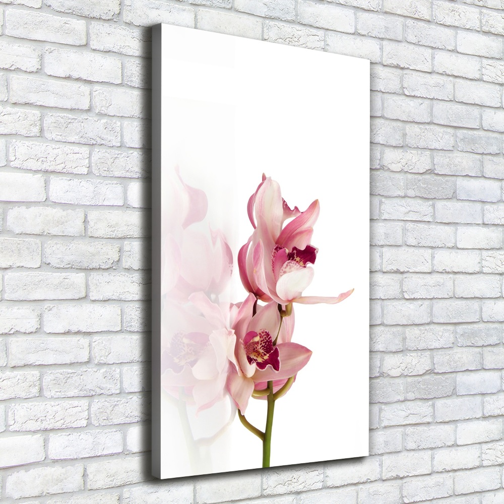 Tableau imprimé sur toile Orchidée rose