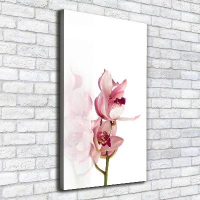 Tableau imprimé sur toile Orchidée rose