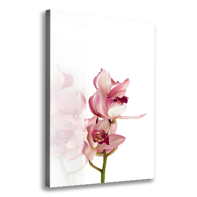 Tableau imprimé sur toile Orchidée rose