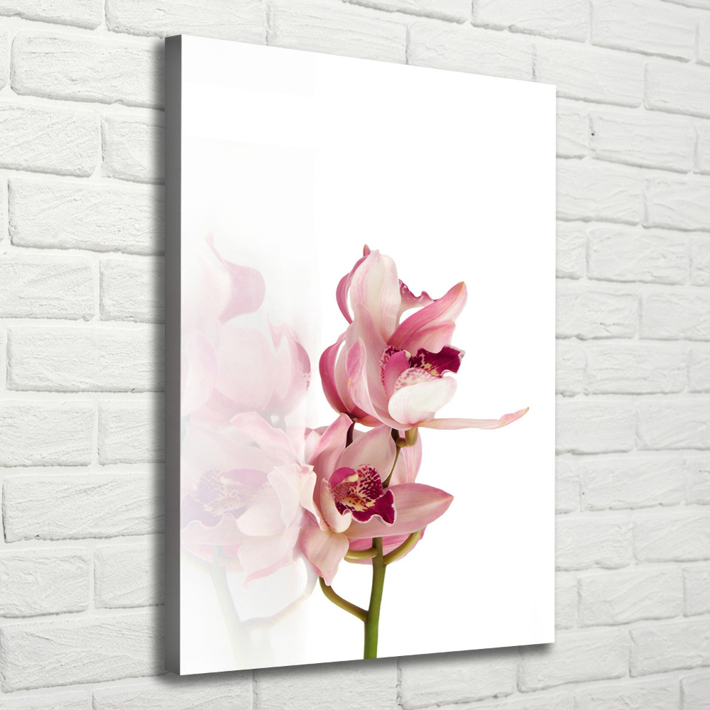 Tableau imprimé sur toile Orchidée rose