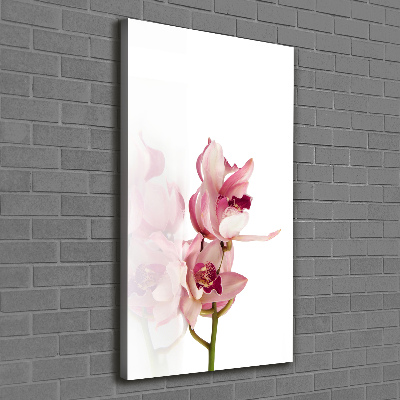 Tableau imprimé sur toile Orchidée rose