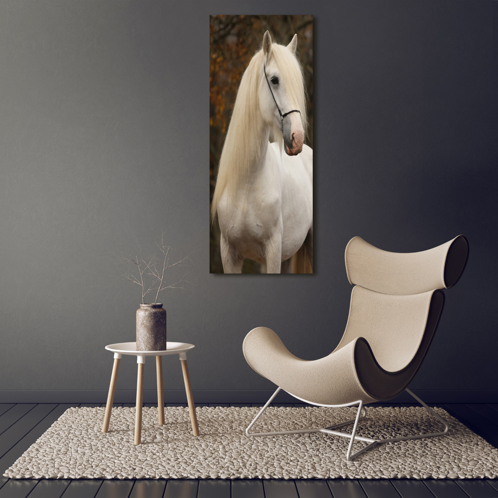 Tableau imprimé sur toile Cheval blanc