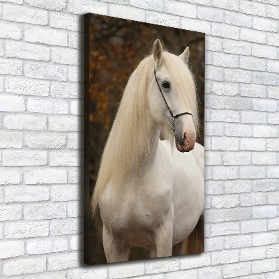 Tableau imprimé sur toile Cheval blanc