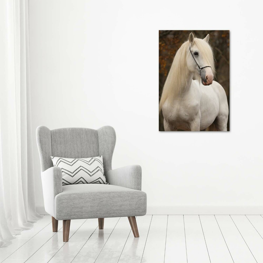 Tableau imprimé sur toile Cheval blanc