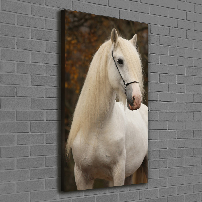 Tableau imprimé sur toile Cheval blanc