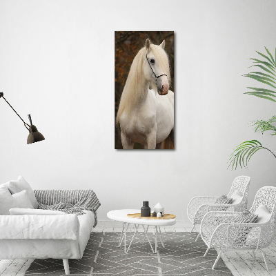 Tableau imprimé sur toile Cheval blanc