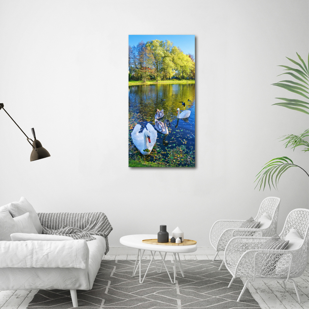 Tableau mural sur toile Cygnes sur un étang