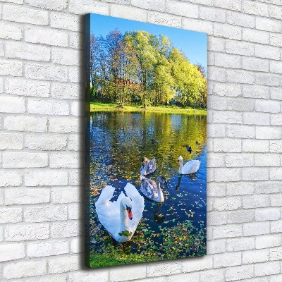 Tableau mural sur toile Cygnes sur un étang