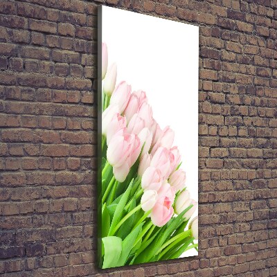 Tableau mural sur toile Tulipes roses