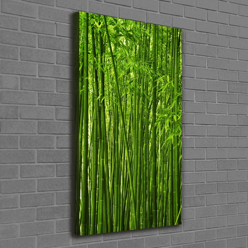 Tableau photo sur toile Forêt de bambous