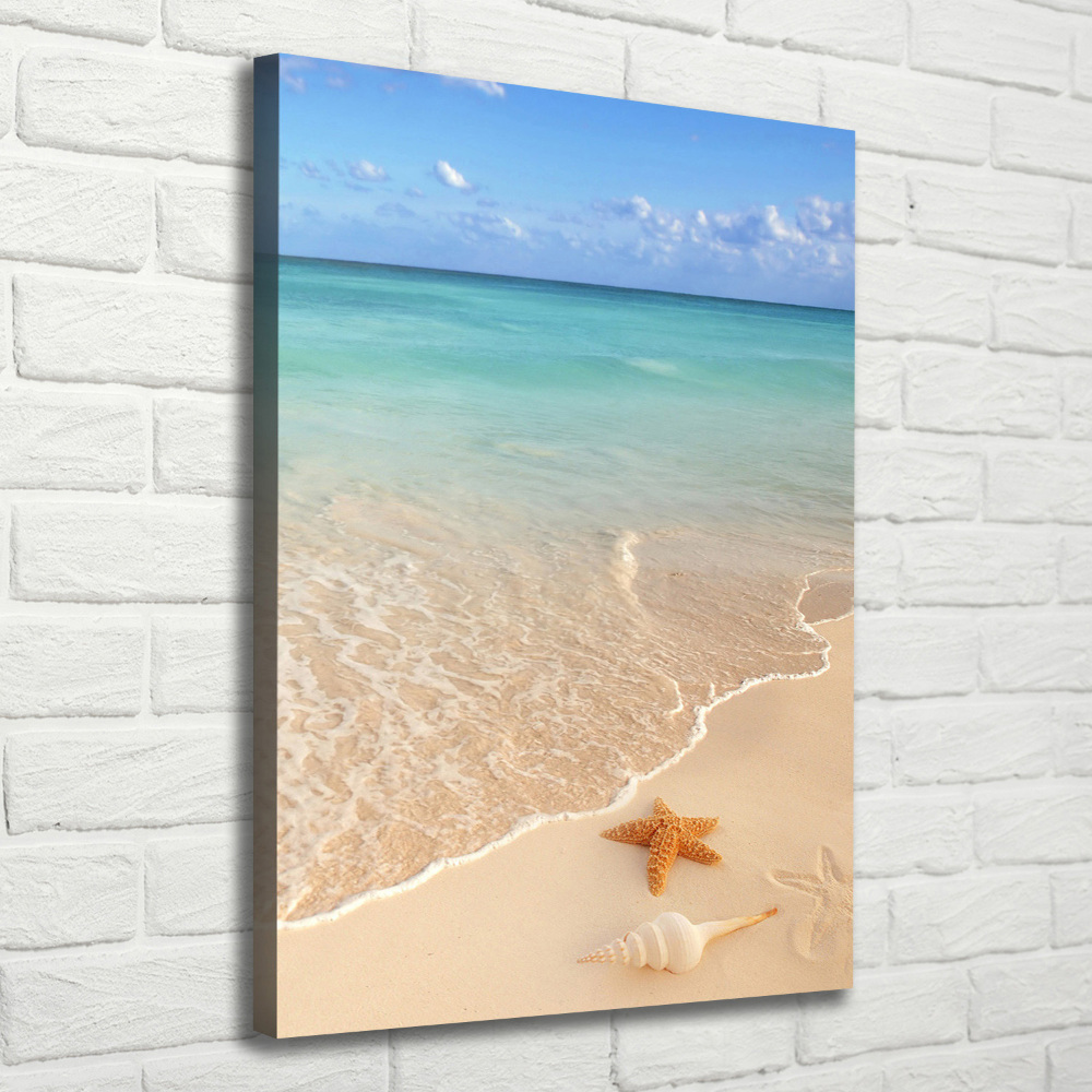 Tableau photo sur toile Étoile de mer sur la plage