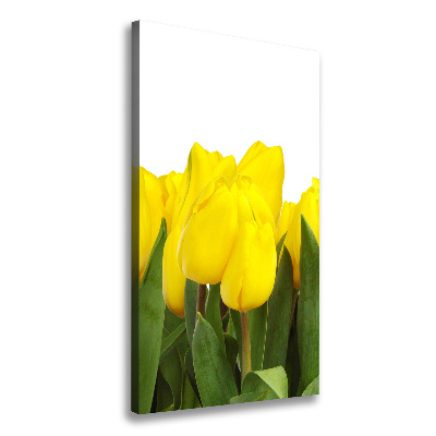 Tableau mural sur toile Tulipes jaunes