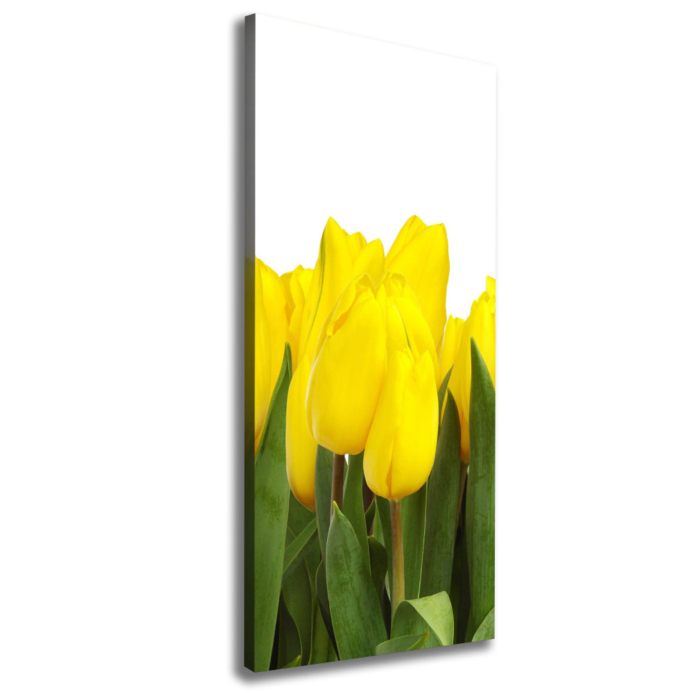 Tableau mural sur toile Tulipes jaunes