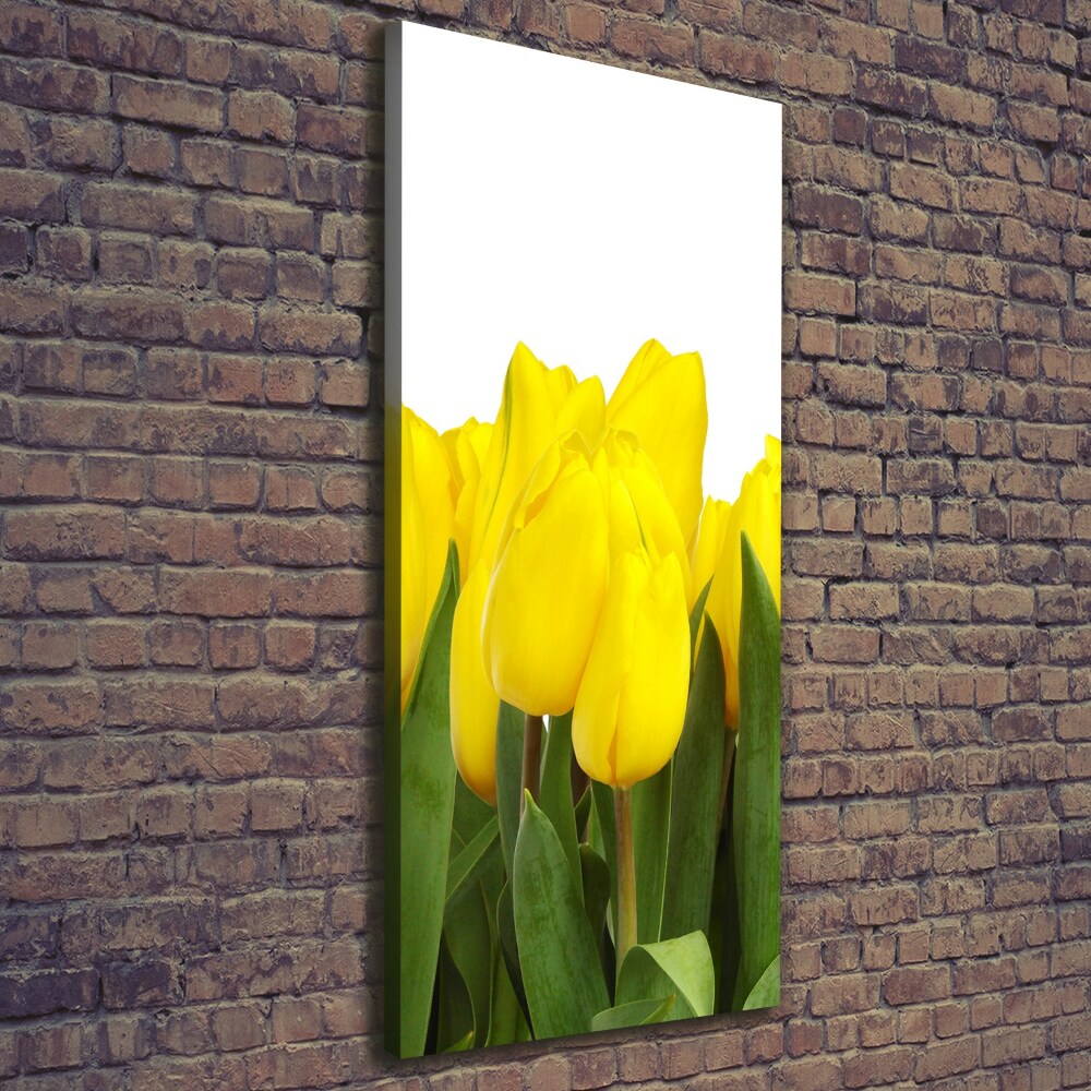 Tableau mural sur toile Tulipes jaunes