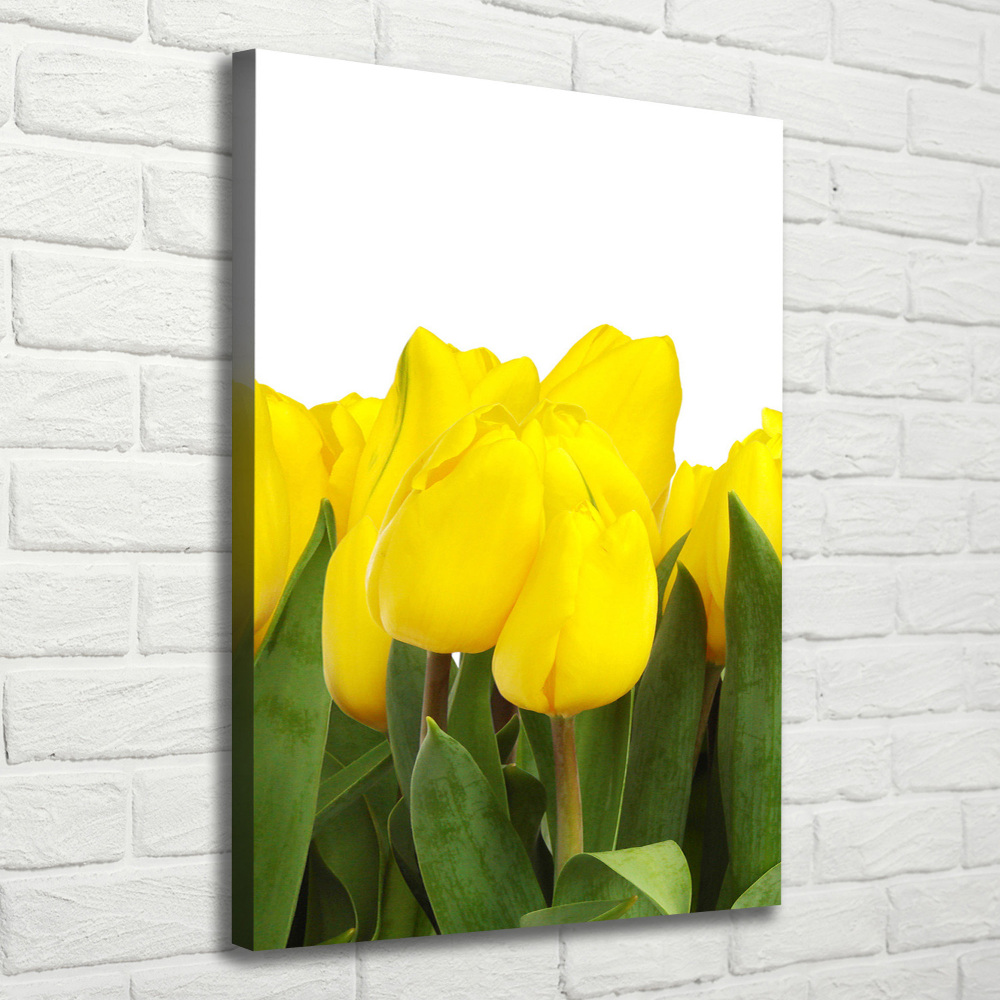 Tableau mural sur toile Tulipes jaunes