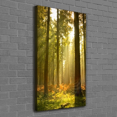 Tableau imprimé sur toile Belle forêt