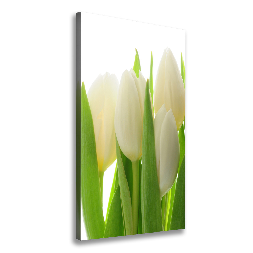 Tableau mural sur toile Tulipes blanches