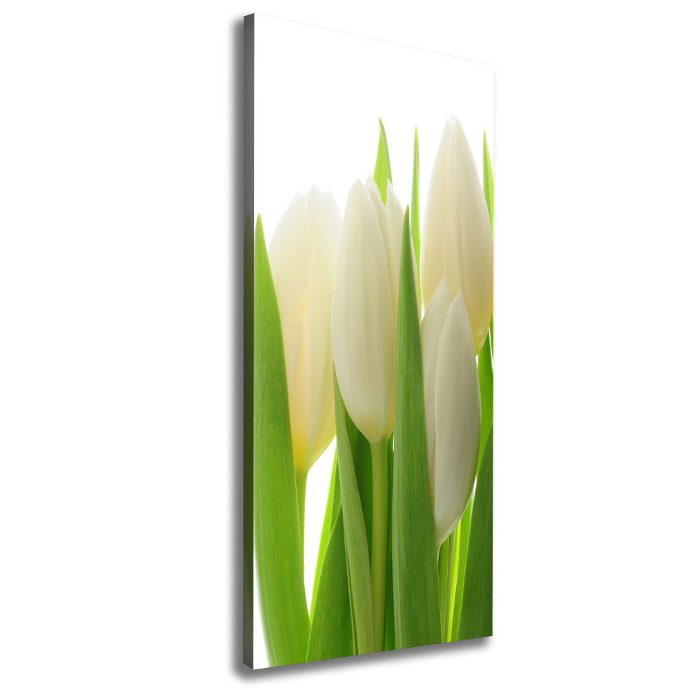 Tableau mural sur toile Tulipes blanches