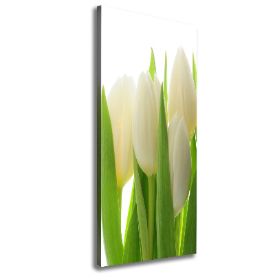 Tableau mural sur toile Tulipes blanches