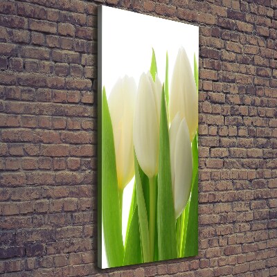 Tableau mural sur toile Tulipes blanches