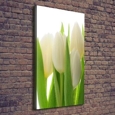 Tableau mural sur toile Tulipes blanches