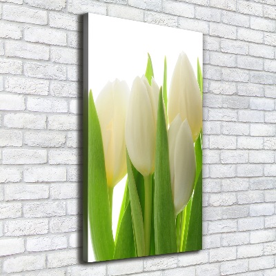 Tableau mural sur toile Tulipes blanches