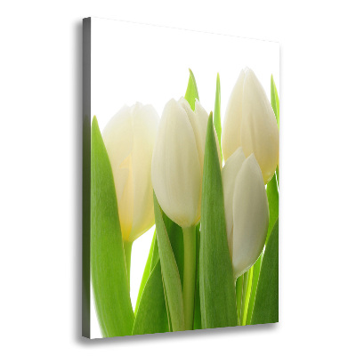 Tableau mural sur toile Tulipes blanches