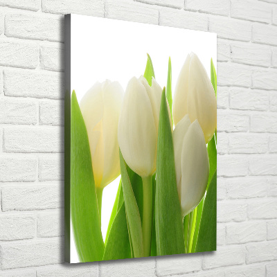 Tableau mural sur toile Tulipes blanches