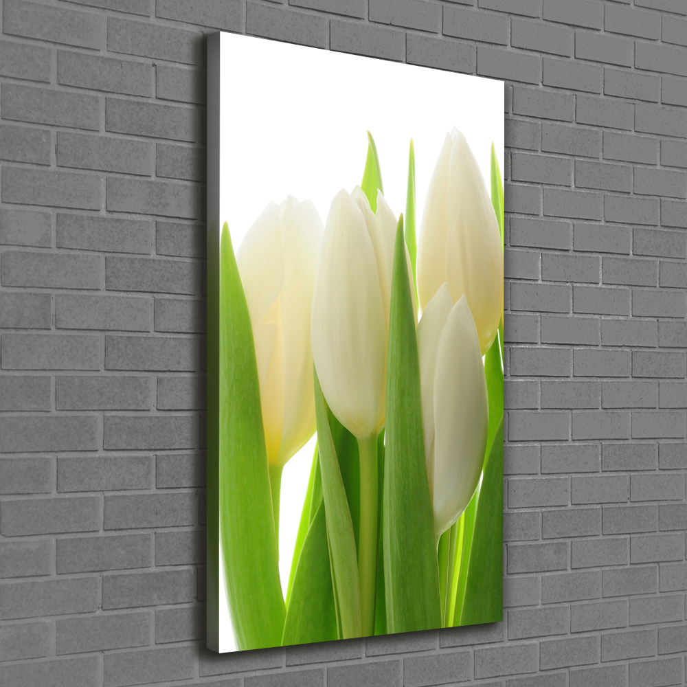 Tableau mural sur toile Tulipes blanches