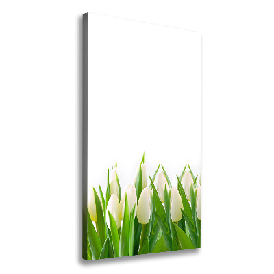 Tableau imprimé sur toile Tulipes blanches fleurs