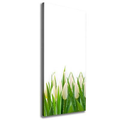 Tableau imprimé sur toile Tulipes blanches fleurs