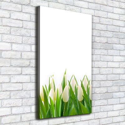 Tableau imprimé sur toile Tulipes blanches fleurs