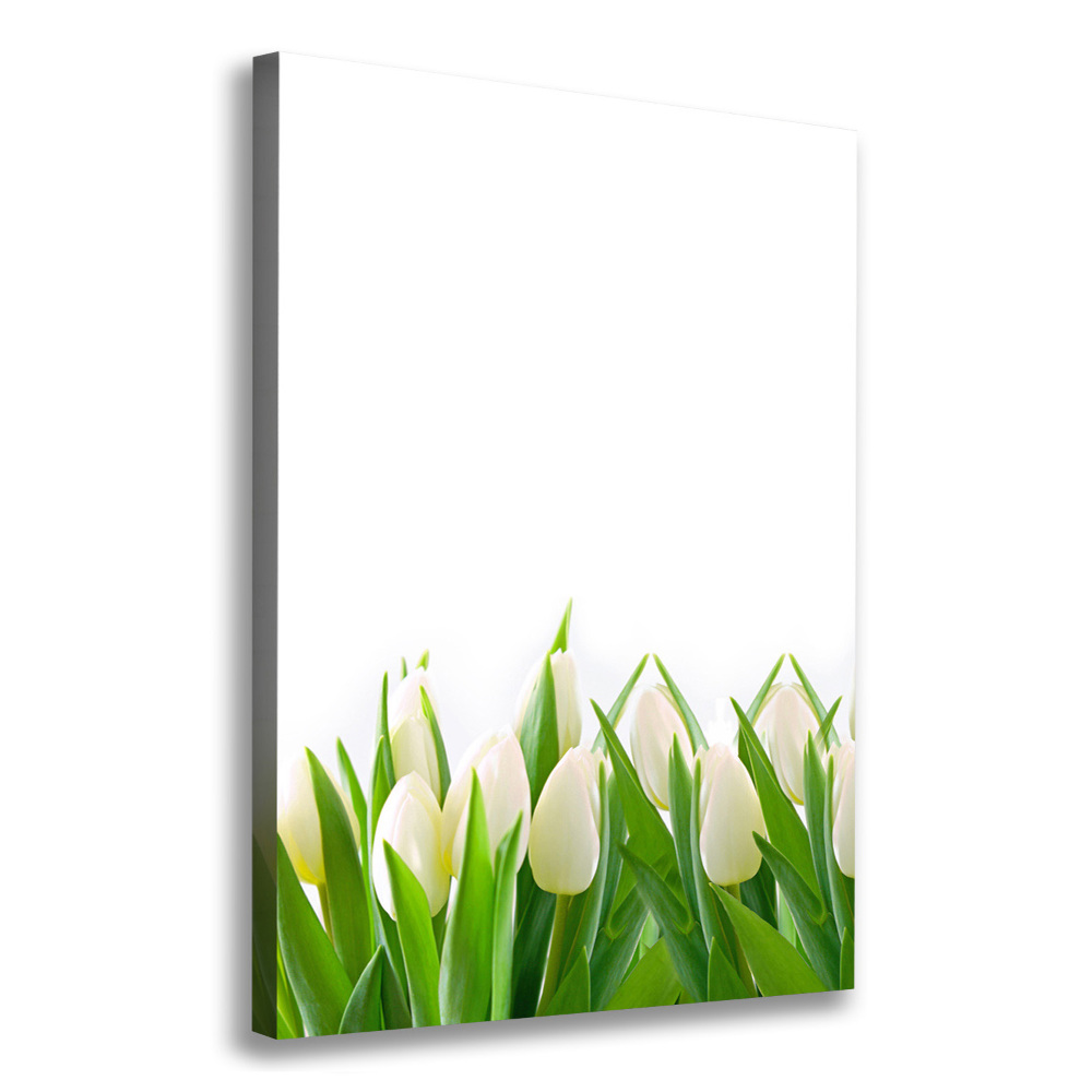 Tableau imprimé sur toile Tulipes blanches fleurs