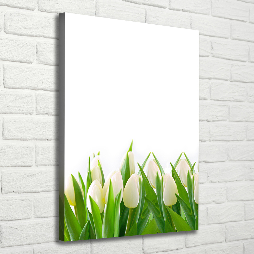 Tableau imprimé sur toile Tulipes blanches fleurs