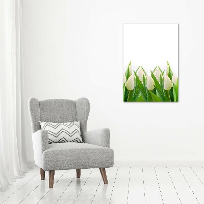 Tableau imprimé sur toile Tulipes blanches fleurs