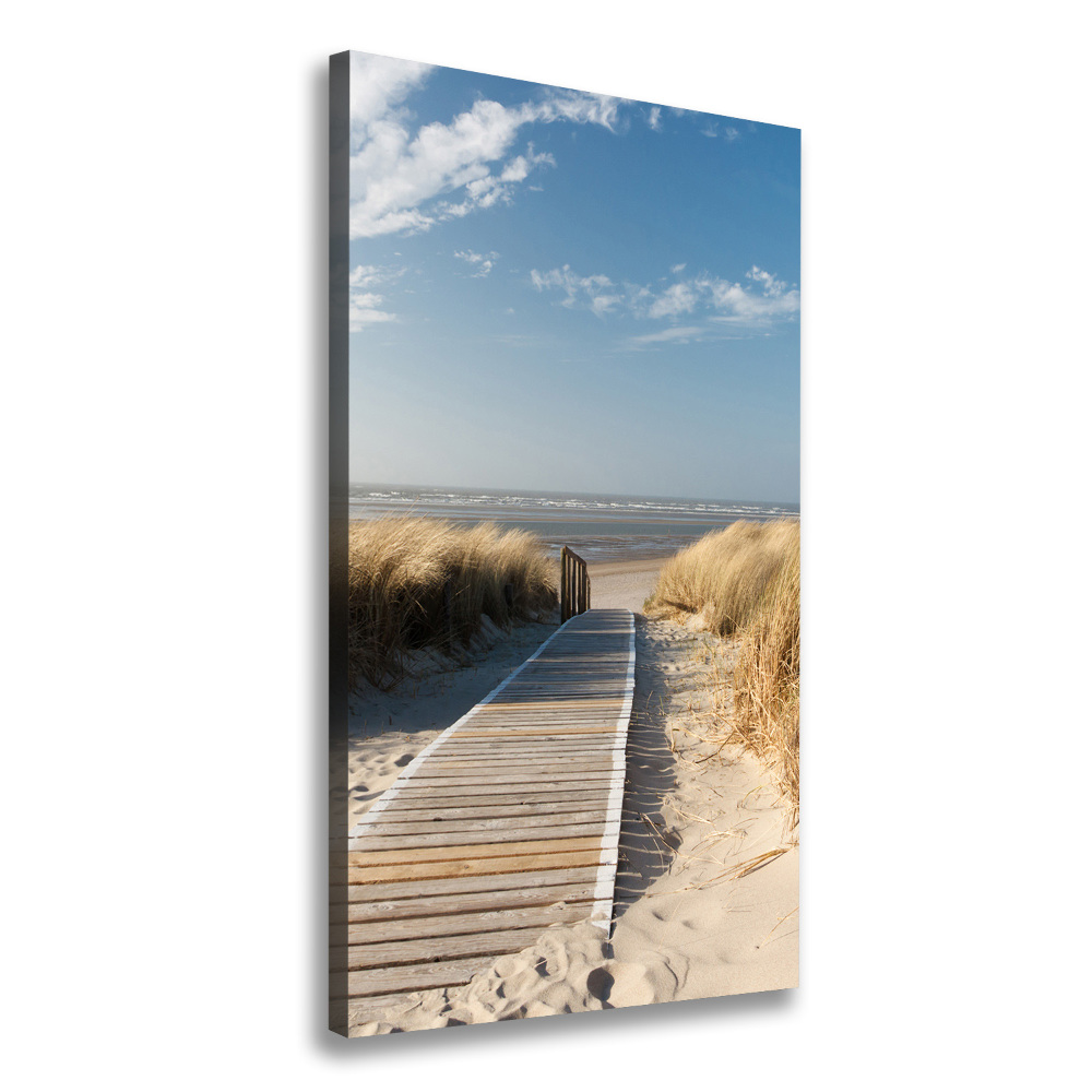 Tableau mural sur toile Chemin vers les plages