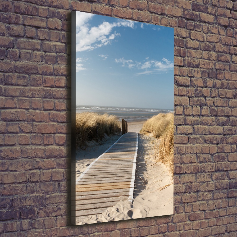 Tableau mural sur toile Chemin vers les plages