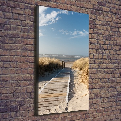 Tableau mural sur toile Chemin vers les plages