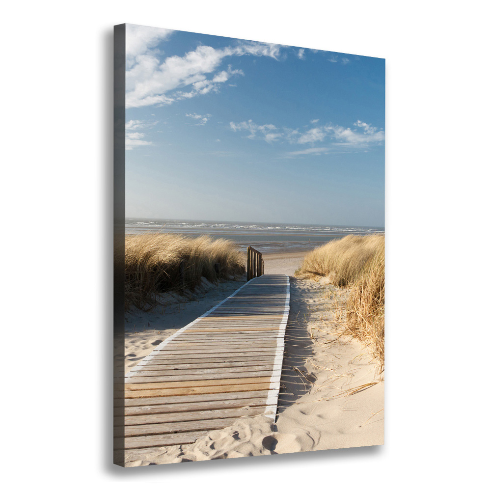 Tableau mural sur toile Chemin vers les plages