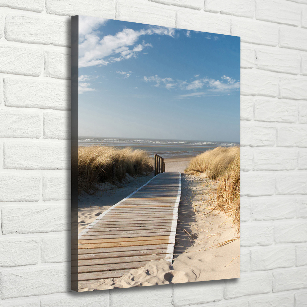 Tableau mural sur toile Chemin vers les plages