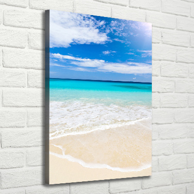 Tableau imprimé sur toile Plage exotique ocean