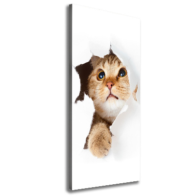 Tableau mural sur toile Chat