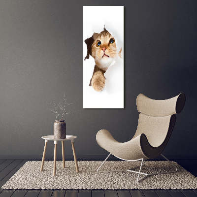 Tableau mural sur toile Chat