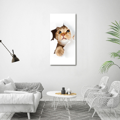 Tableau mural sur toile Chat